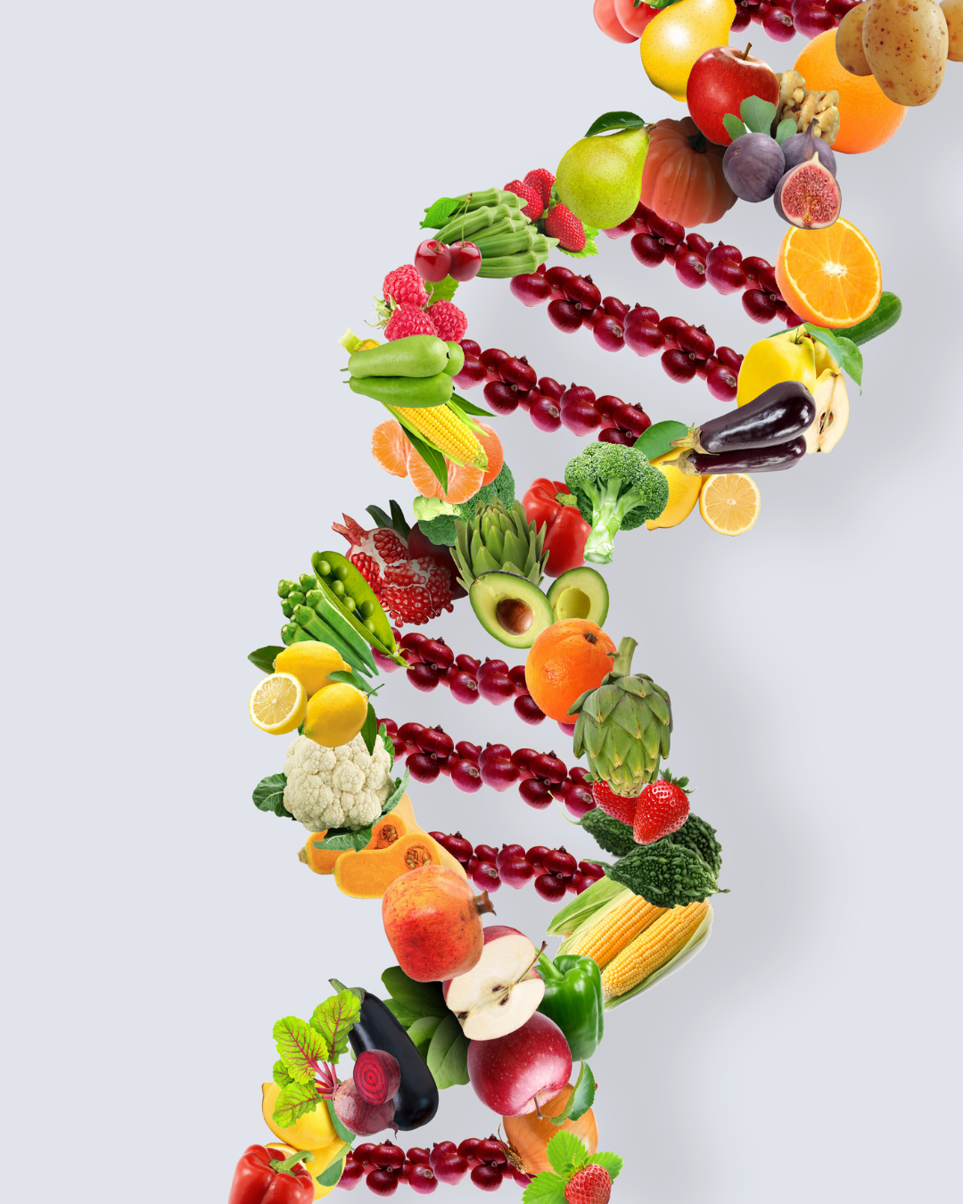 Simbolo di DNA fatto con frutta e verdura