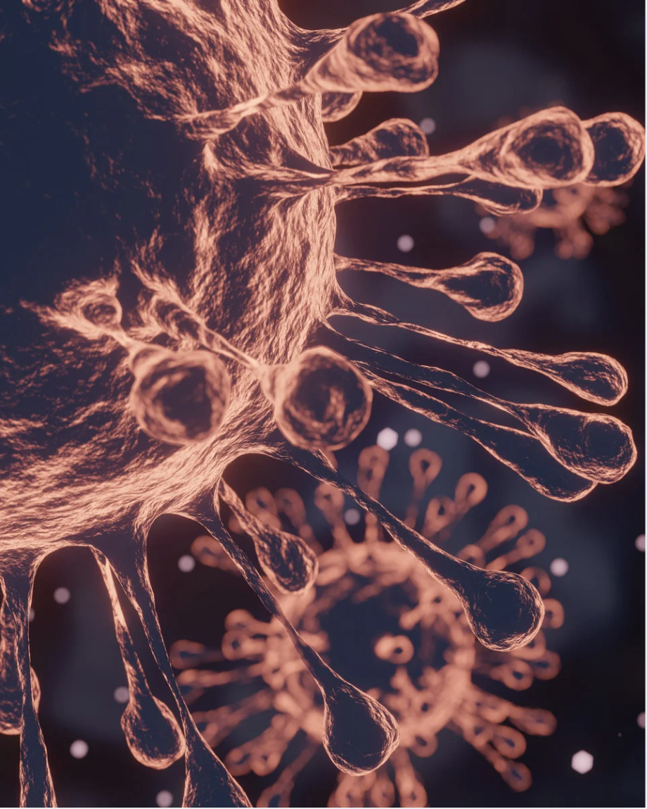 molecole carbossiterapia